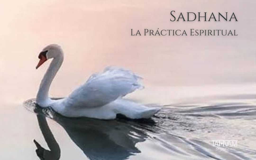 Sadhana
