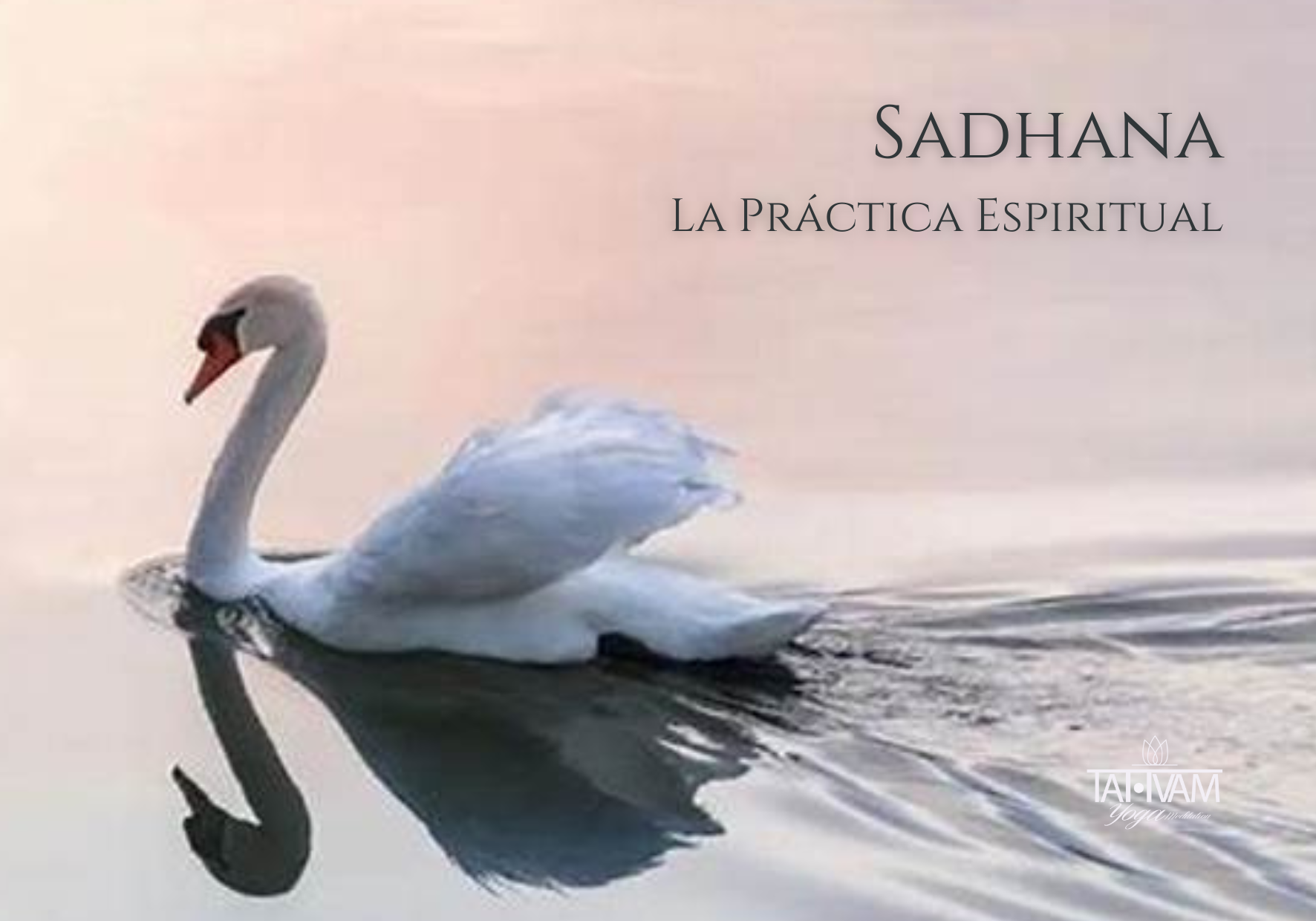 Sadhana