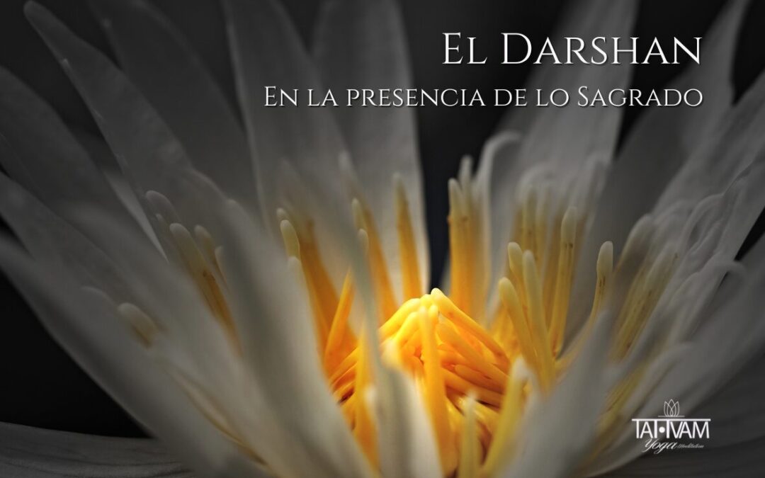 El Darshan